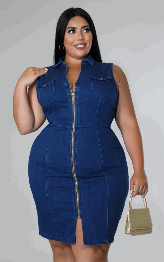 Miss Thang Denim Dress